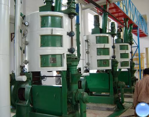 New Design High Efficiency Vegetable Oil Press